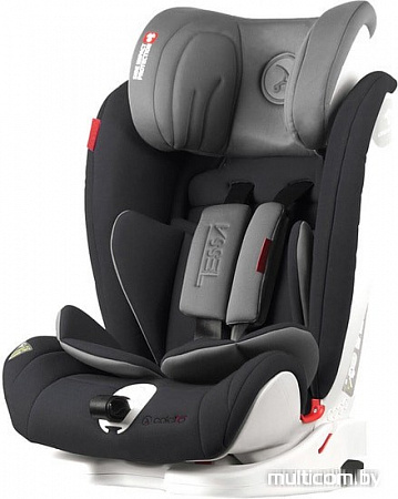 Автокресло Coletto Tessa Isofix (черный)