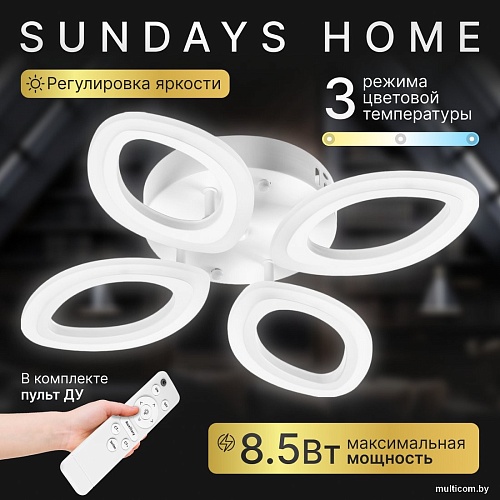 Припотолочная люстра Sundays Home 240924-24 5863