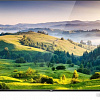 Телевизор TCL L43P6US (черный)