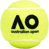 Мяч Dunlop Australian Open (4 шт)