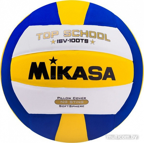 Мяч Mikasa ISV-100TS (5 размер)