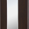 Шкаф-купе Рэйгрупп Elgon VVX 02 РГ-06.02 120x45 см (без стеллажа, венге/хром)