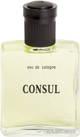 Dilis Parfum Consul EdC (100 мл)