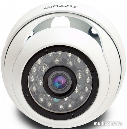 IP-камера Ginzzu HID-2301S