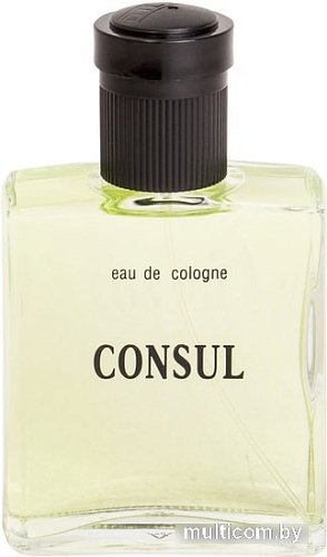 Dilis Parfum Consul EdC (100 мл)