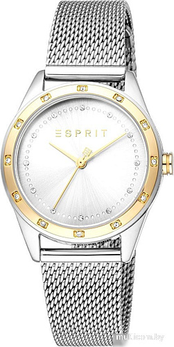 Наручные часы Esprit ES1L349M0105