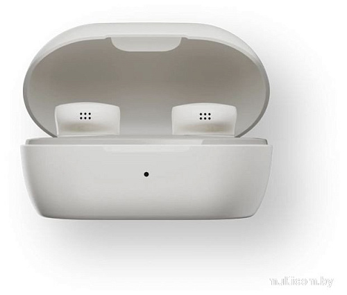 Наушники Bose QuietComfort Earbuds 2024 (светло-серый)