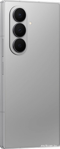 Телефон Samsung Galaxy Z Fold7 SM-F966B/DS 12GB/256GB (серебристый)