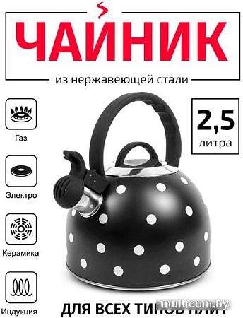 Чайник со свистком TimA WTK135BLK