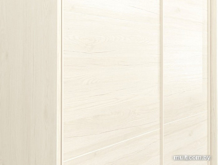 Шкаф-купе Рэйгрупп Bromo BBB3 02 РГ-07.02 B 237 BBB 237.5 (дуб бордо лайт/белый)