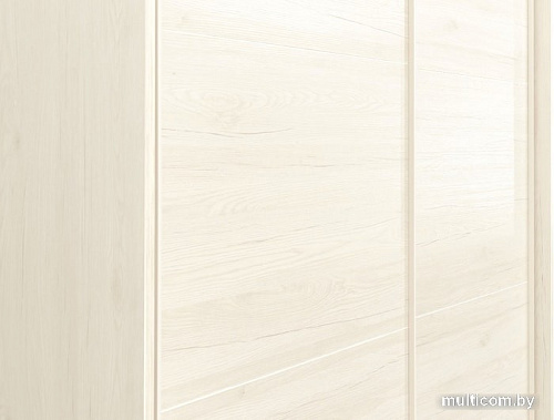 Шкаф-купе Рэйгрупп Bromo BBB3 02 РГ-07.02 B 237 BBB 237.5 (дуб бордо лайт/белый)
