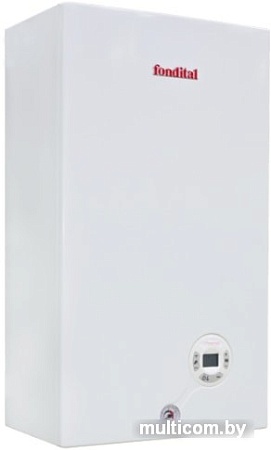 Отопительный котел Fondital Minorca CTFS 24