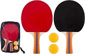 Набор для настольного тенниса Победитъ PPS-04 323140