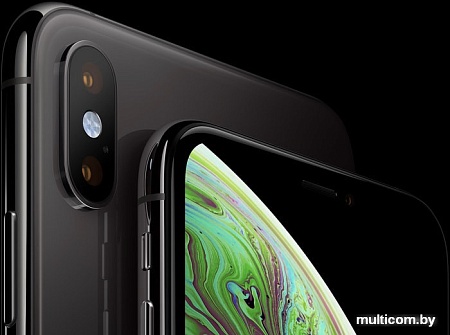 Смартфон Apple iPhone XS 256GB (серый космос)