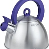 Чайник Rondell Strike RDS-921