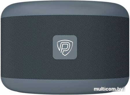 Беспроводная аудиосистема Prestigio Smartvoice (черный/серый)