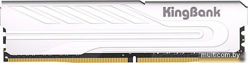 Оперативная память KingBank KJXS 16ГБ DDR4 3200 МГц K5.01.FP049D7201