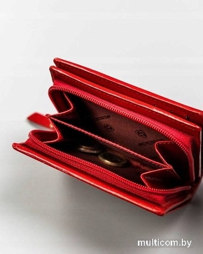 Кошелек Peterson PTN 2549-BO-1833 (красный)