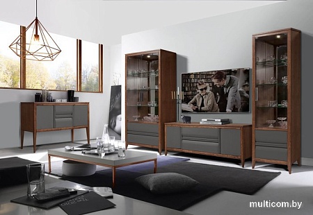 Тумба Гомельдрев Аспен ГМ 1624 Дуб (антрацит/табак)