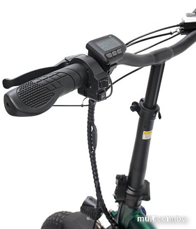 Электровелосипед Smart Balance Tank 2.0 S 2024 (зеленый)