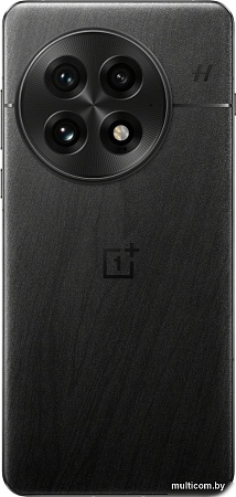 Смартфон OnePlus 13 12GB/256GB китайская версия (обсидиан)