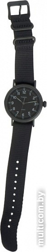 Наручные часы Timex TW2T20800