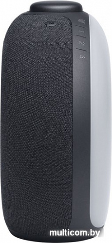 Часы JBL Horizon 2 FM (черный)