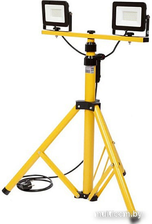 Уличный прожектор Glanzen FAD-0025-2X50