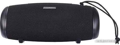 Беспроводная колонка SOUNARC R1 (черный)