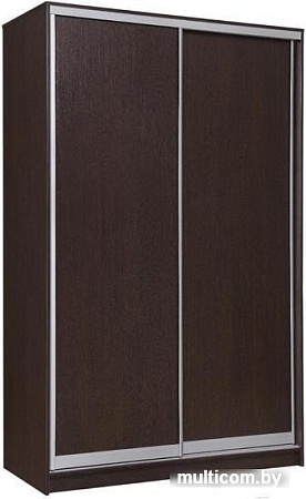 Шкаф-купе Рэйгрупп 138450 VVX Elgon РГ-05.03 (венге/венге/хром)