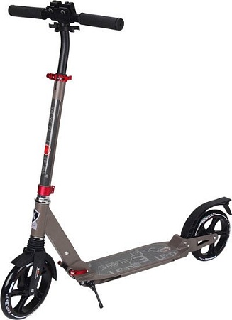 Самокат Explore Gamma (серый)