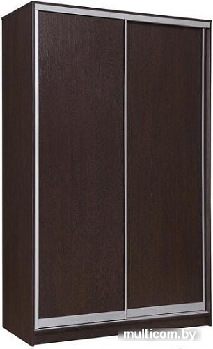 Шкаф-купе Рэйгрупп 138450 VVX Elgon РГ-05.03 (венге/венге/хром)