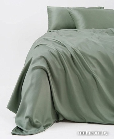 Постельное белье GoodNight Essential Евро 368212 (зеленый)