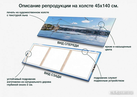 Картина Stamprint Босфорский мост СТ011 (45x140)