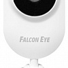 IP-камера Falcon Eye Spaik 1