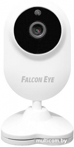 IP-камера Falcon Eye Spaik 1