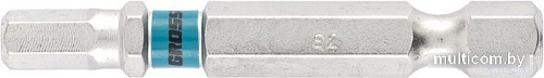 Набор бит GROSS 11465 (10 шт)