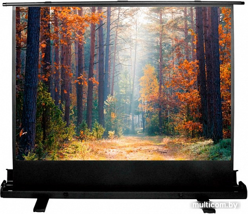 Проекционный экран CACTUS FloorExpert 150x200 CS-PSFLE-200X150