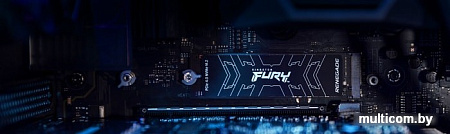 SSD Kingston Fury Renegade 500GB SFYRS/500G