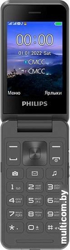 Кнопочный телефон Philips Xenium E2602 (темно-серый)