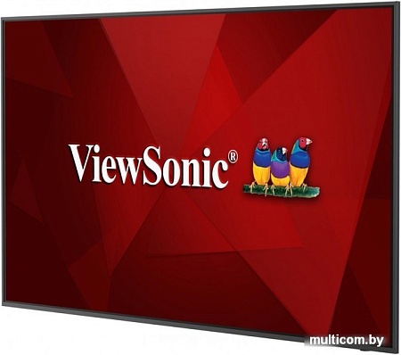 Информационная панель ViewSonic CDE6520