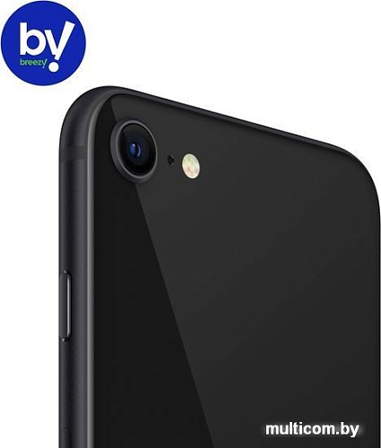 Смартфон Apple iPhone SE 256GB Воcстановленный by Breezy, грейд B (черный)
