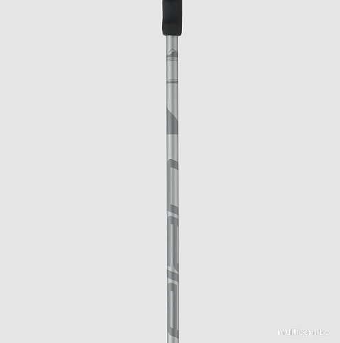 Лыжные палки Elan Speedrod 2024-2025 CD531524-120 (р.120, серый)