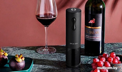 Электроштопор Circle Joy CJ-EKPQ04