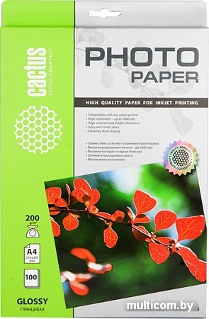 Фотобумага CACTUS Глянцевая A4 200 г/кв.м. 100 листов(CS-GA4200100)