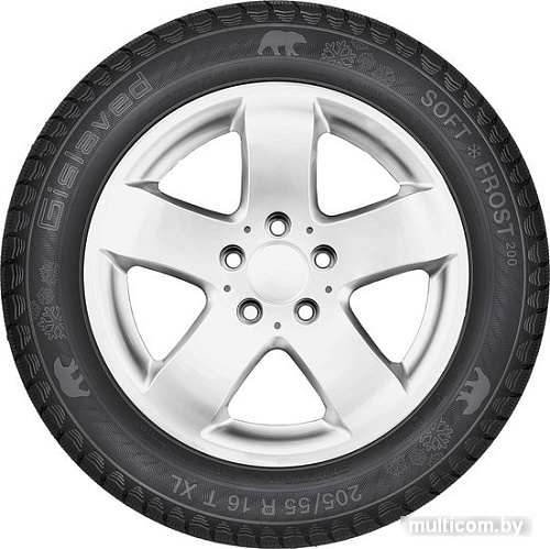 Автомобильные шины Gislaved Soft*Frost 200 SUV 215/70R16 100T