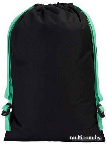 Мешок для обуви Speedo Pool Bag D712 (черный/зеленый)