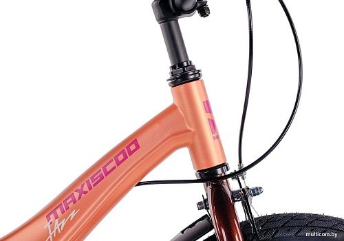 Детский велосипед Maxiscoo Jazz Стандарт Плюс 16 2025 MSC-J1641 (пудра)