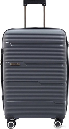 Чемодан-спиннер Pride РР-203 (S, серый)