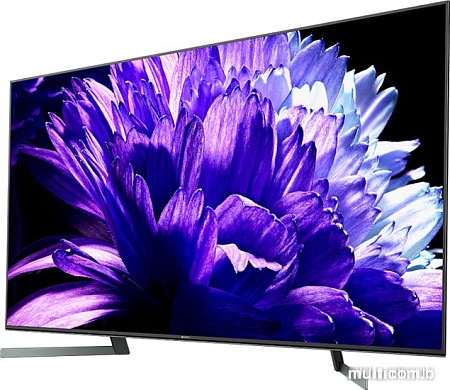 Телевизор Sony KD-55XG9505